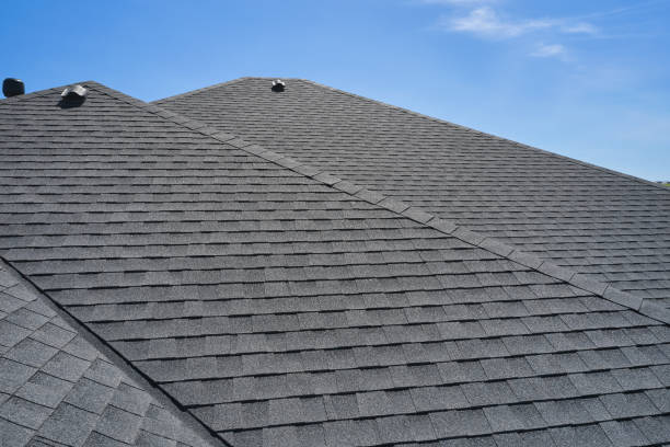 Best Roof Moss and Algae Removal  in Carolina Shores, NC