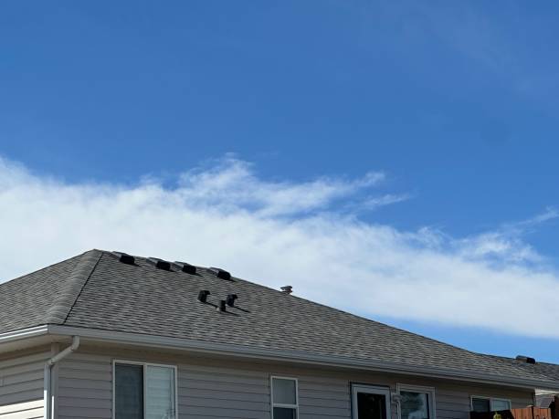 Best Roof Leak Repair  in Carolina Shores, NC